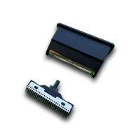 TPO-OSTR-MSK-BLD_1