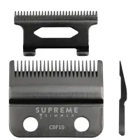 SUP-CLIPP-RECH-CBF19_0