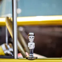 SUA-BOB-HEAD-1_3