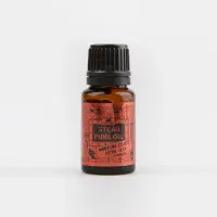 PAN-OLE-WCH-10_0