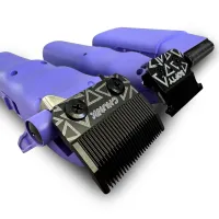 TPO-ZEST-PLAYPURPLEMINIBUNDLE_5